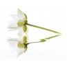Панно City White Lilies
